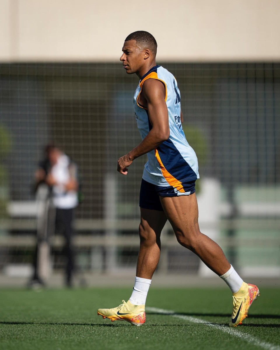 塞尔维亚核心伤退引担忧（塞尔维亚主将伤退惹忧）